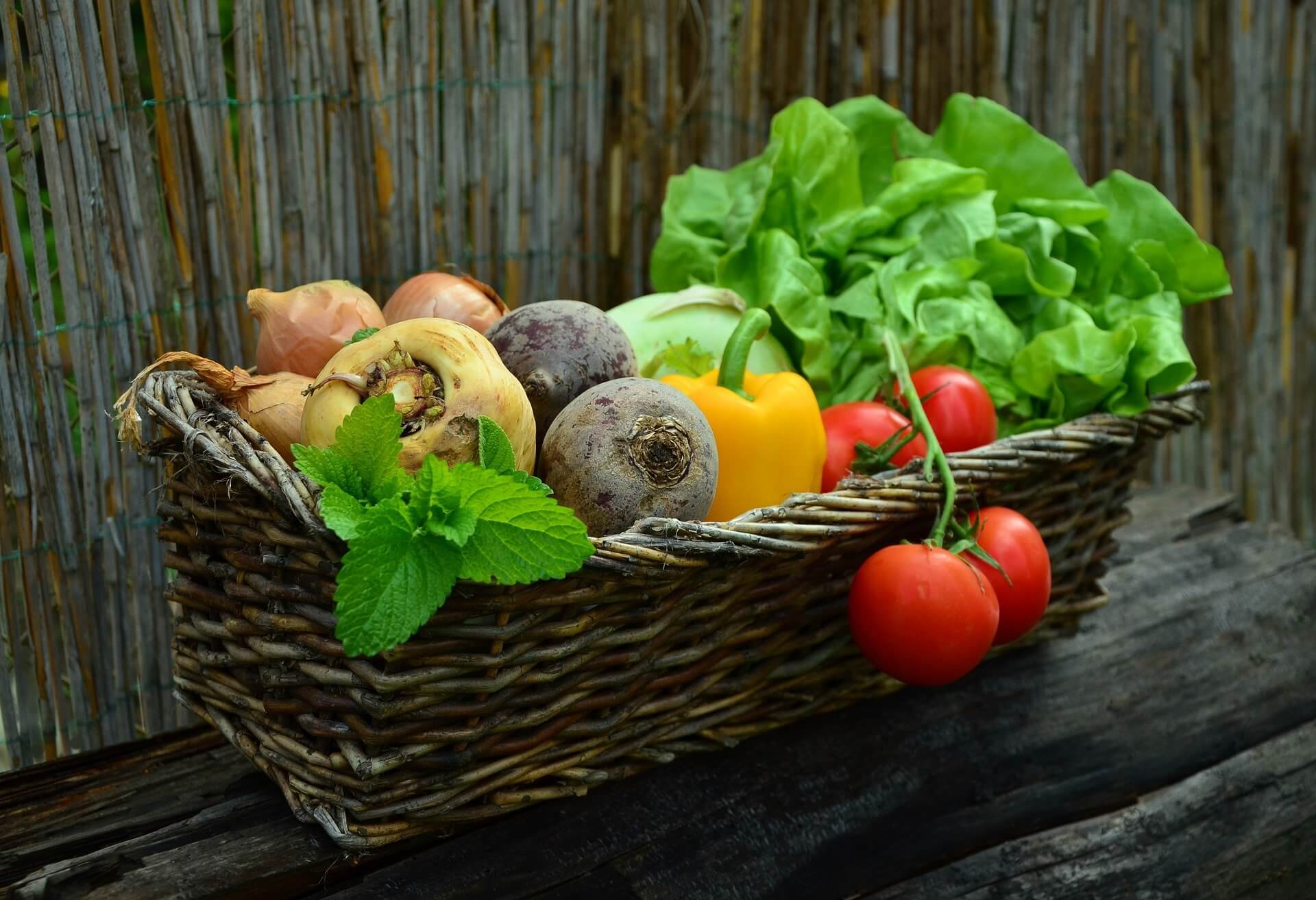 Mehr Gemüse gegen immer müde