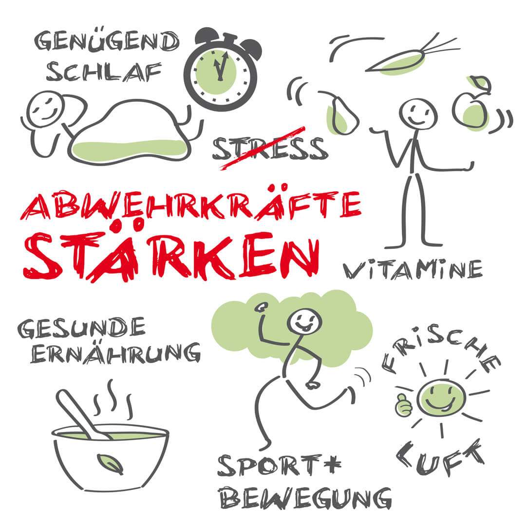 abwehrkraefte-staerken-immunsystem